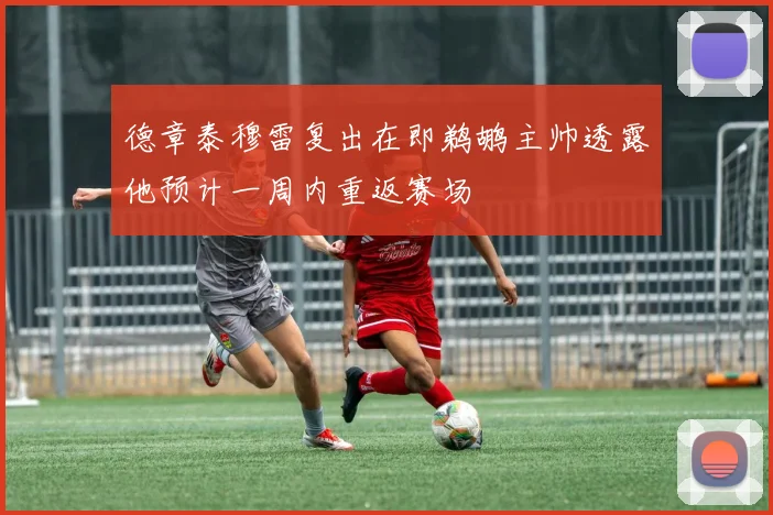 德章泰穆雷复出在即鹈鹕主帅透露他预计一周内重返赛场